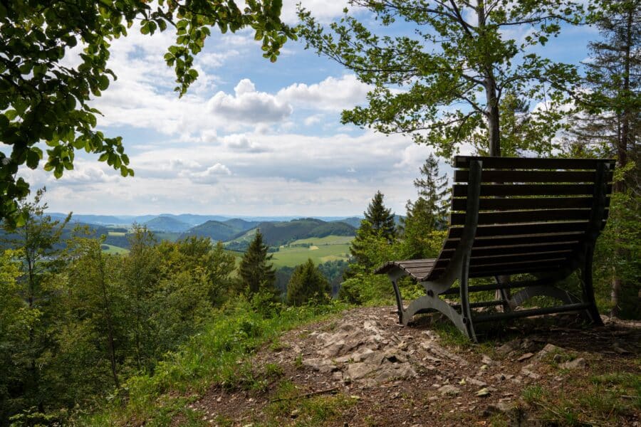 Wintertraum, Wiesenzauber und Waldglück- schöner kann Ihr Invest nicht heißen - Standort Winterberg (8)