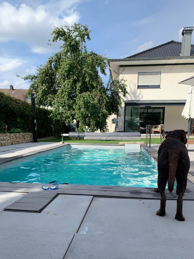 Modernes, energieeffizientes Einfamilienhaus in Bruchhausen mit Pool, Wintergarten und Sauna - Pool