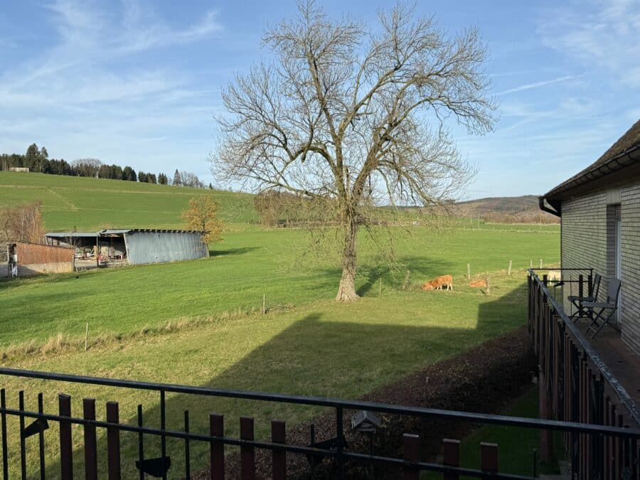 Sauerland pur – Idyllischer Bauernhof mit Einliegerwohnungen & Nebengebäuden - Ausblick Balkon Rückseite