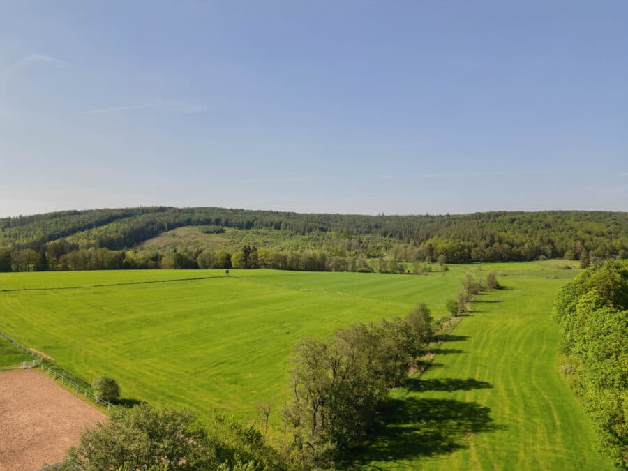 Natur, Ruhe und Pferdeglück – Exklusiver Pferdehof mit 2,1 ha in Brilon-Alme - Eindruck Umgebung
