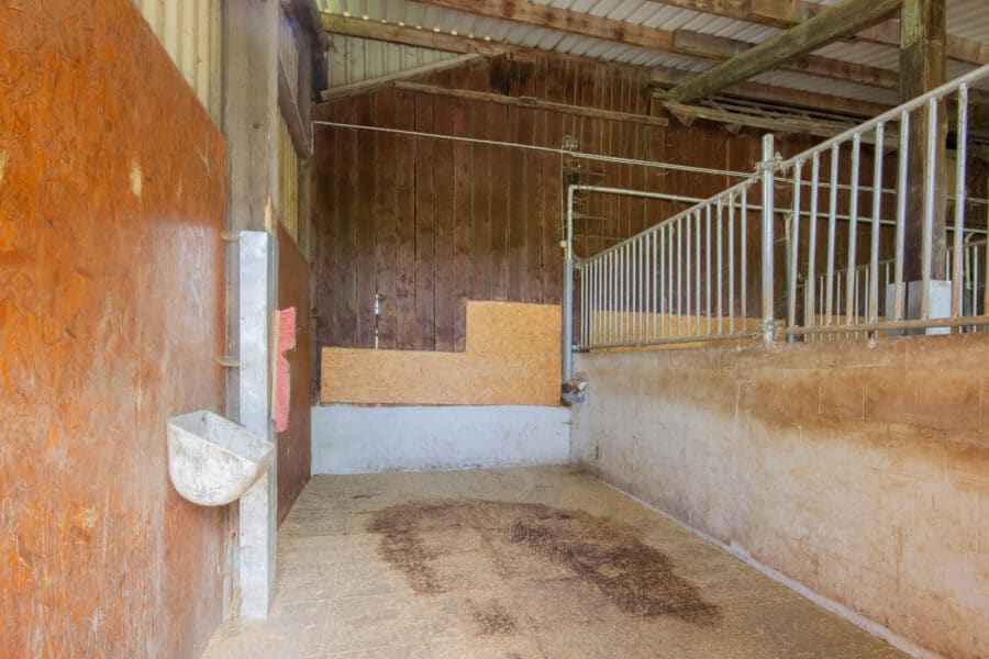 Natur, Ruhe und Pferdeglück – Exklusiver Pferdehof mit 2,1 ha in Brilon-Alme - Massive-Box mit Trittdämpfung