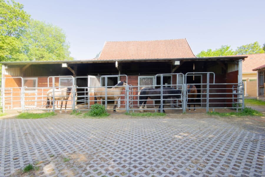 Natur, Ruhe und Pferdeglück – Exklusiver Pferdehof mit 2,1 ha in Brilon-Alme - Pferdestall mit Paddock