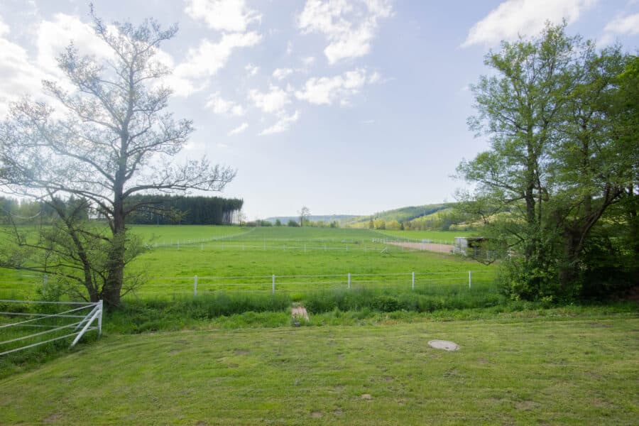 Natur, Ruhe und Pferdeglück – Exklusiver Pferdehof mit 2,1 ha in Brilon-Alme - Natur pur
